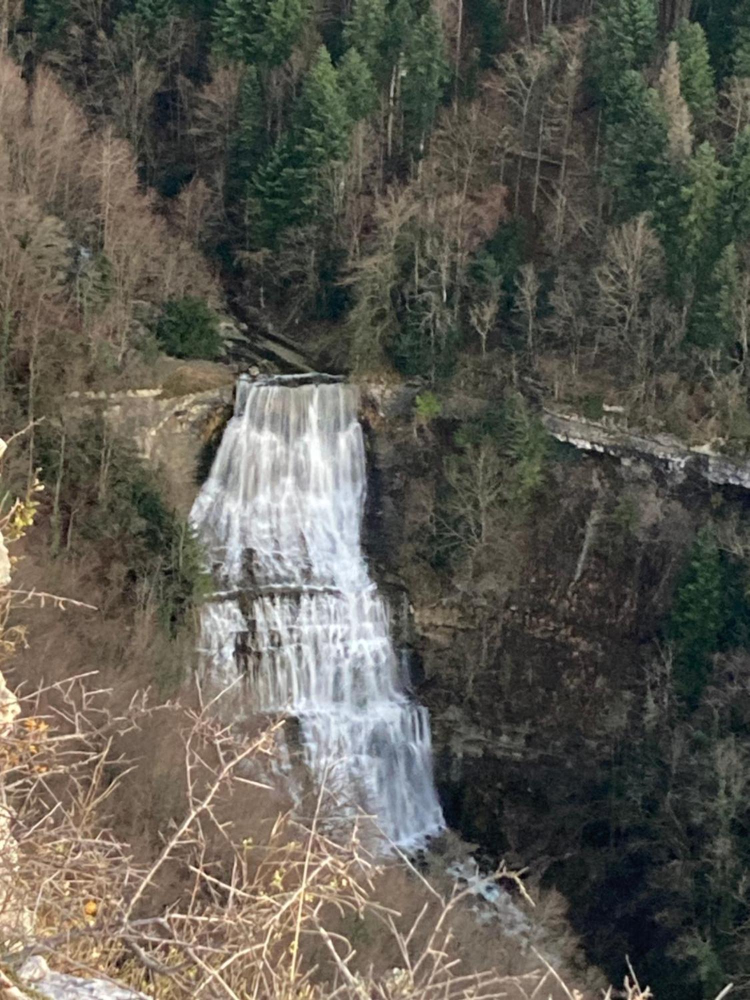 La P'Tite Maison Bois Du Herisson Menetrux-en-Joux Kültér fotó